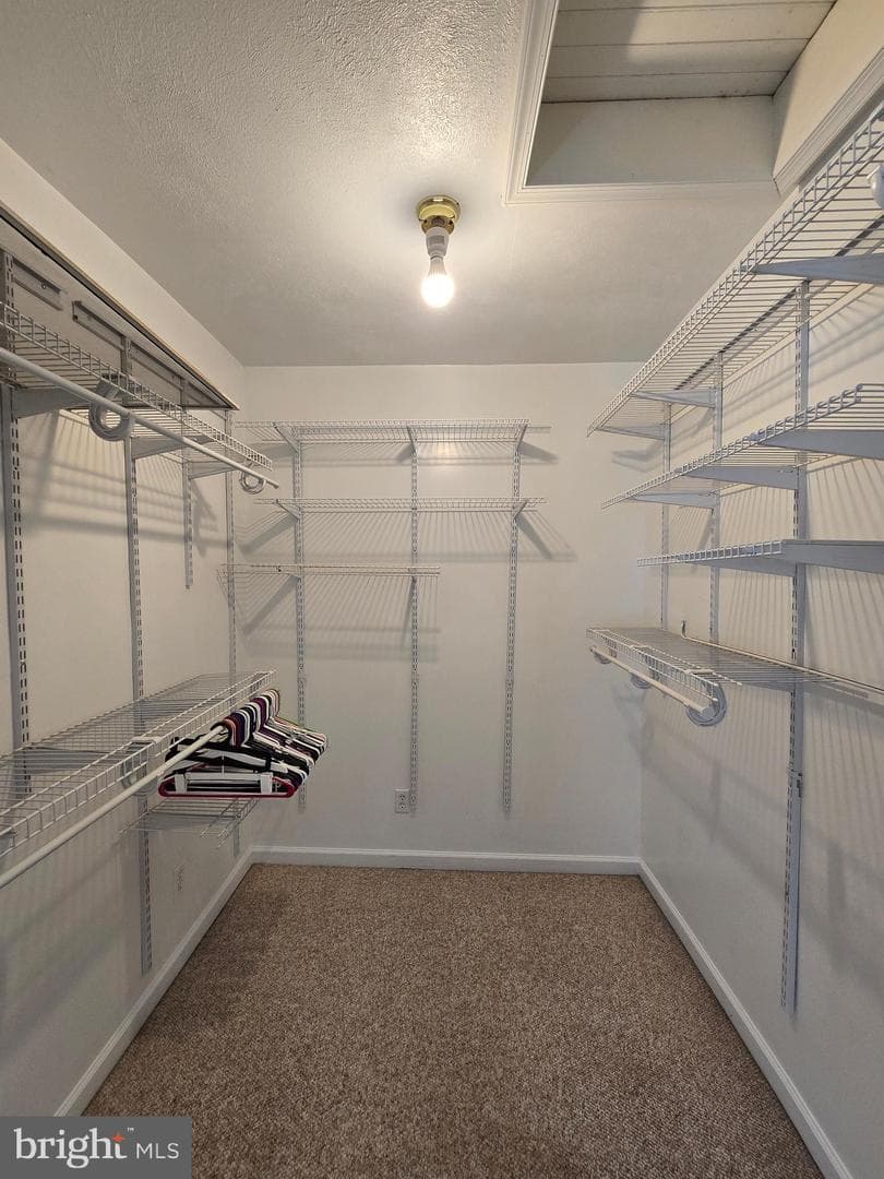 240 Ewing Street photo 25