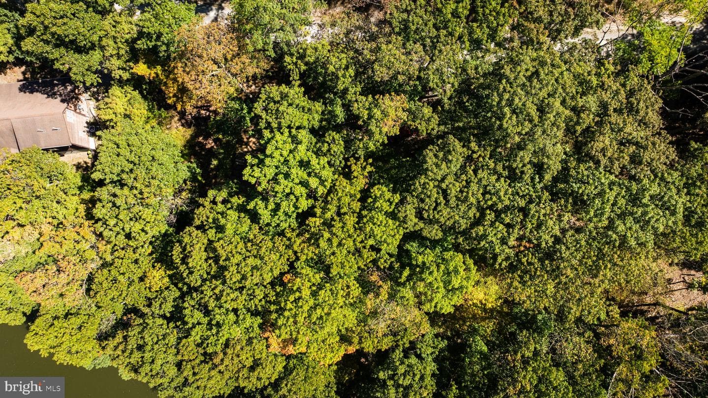 302 Tuscarora Trail photo 46