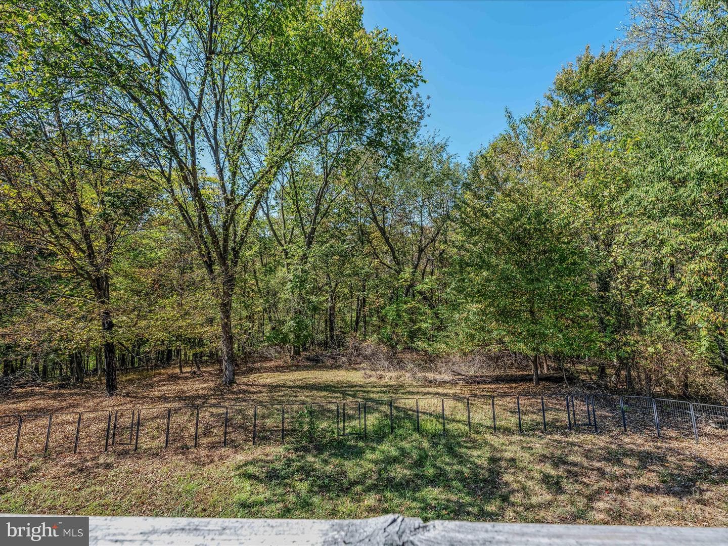 608 Dehaven Road photo 24