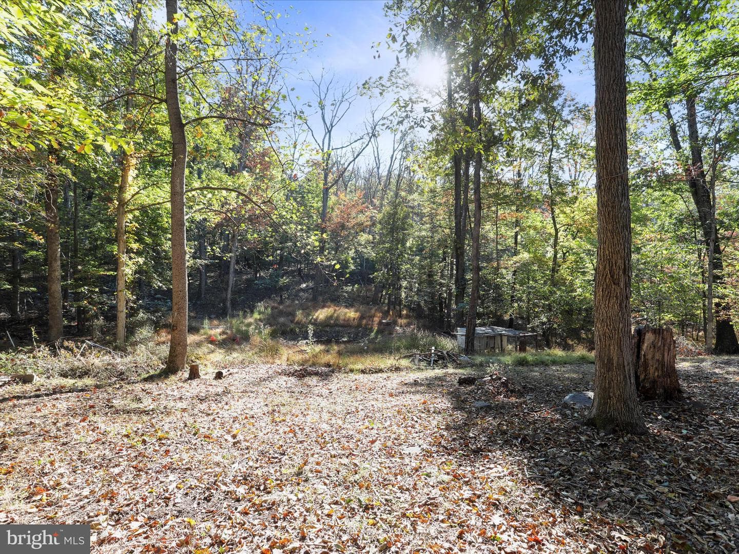 480 Maverick Trail photo 5