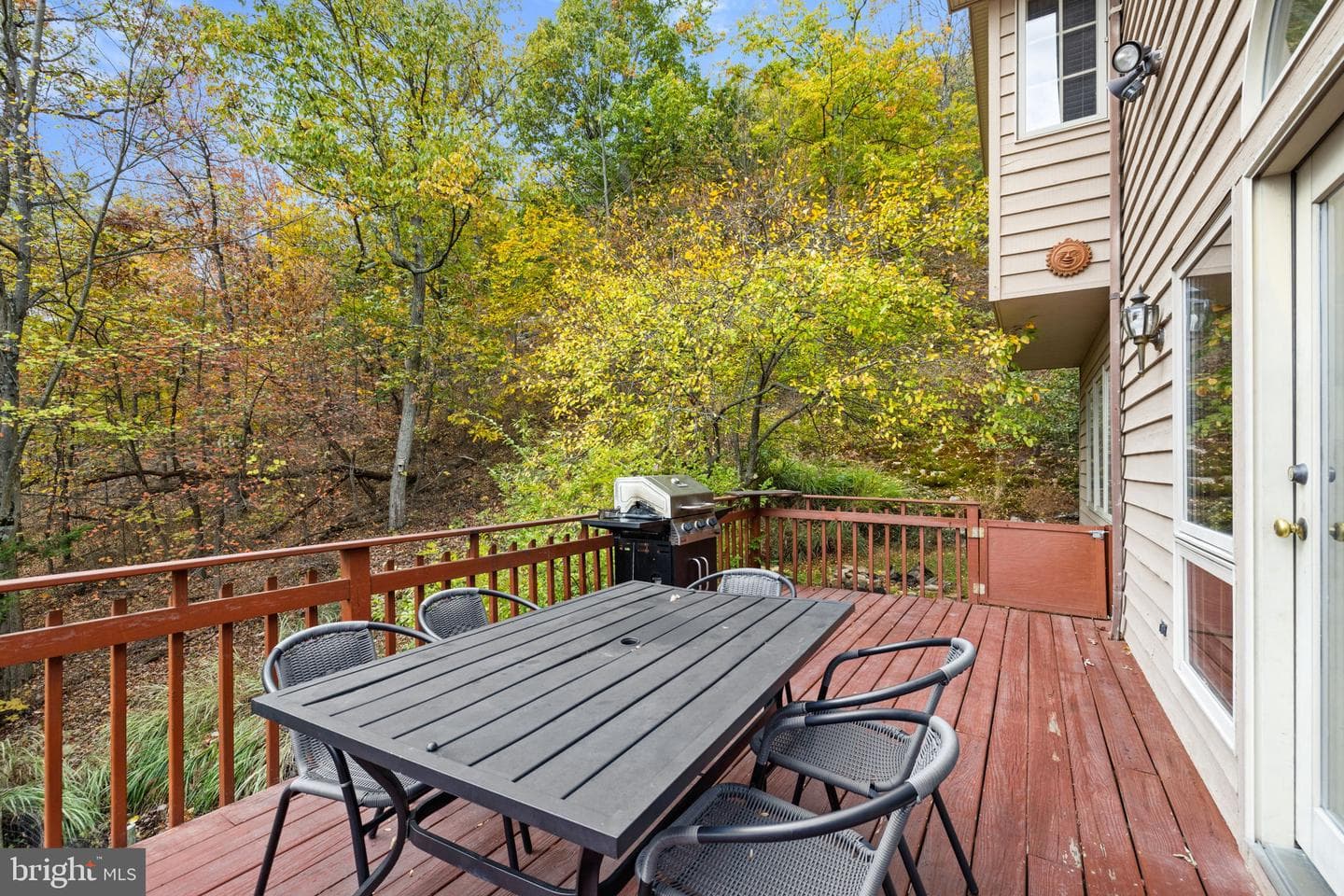537 Bobcat Drive photo 48