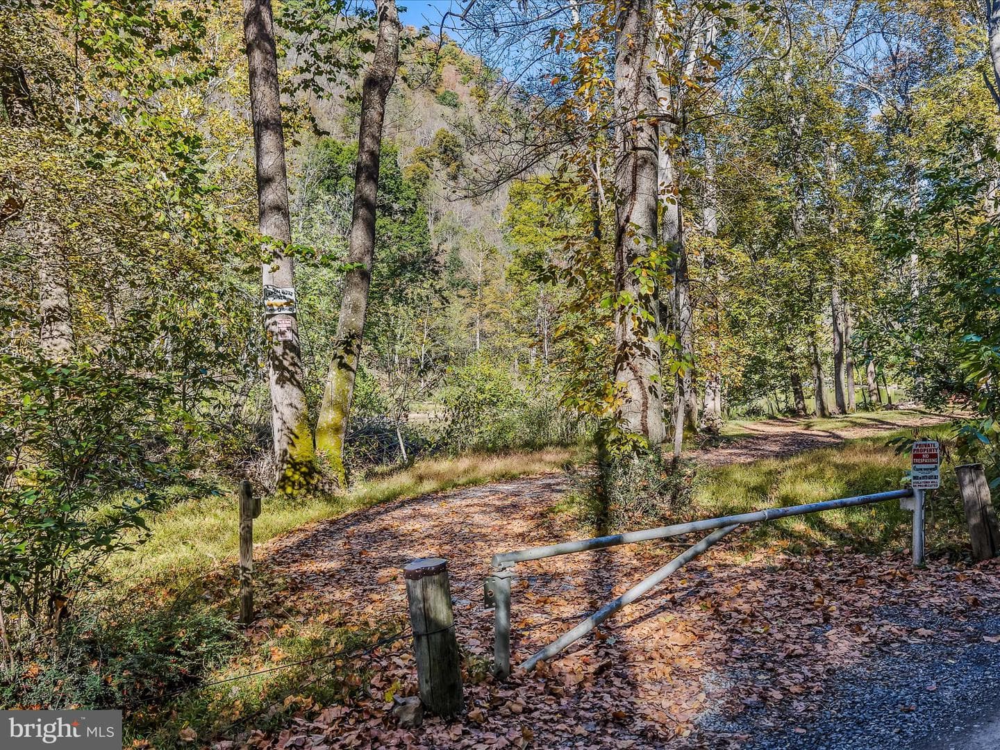 154 Brooklyn Way photo 59