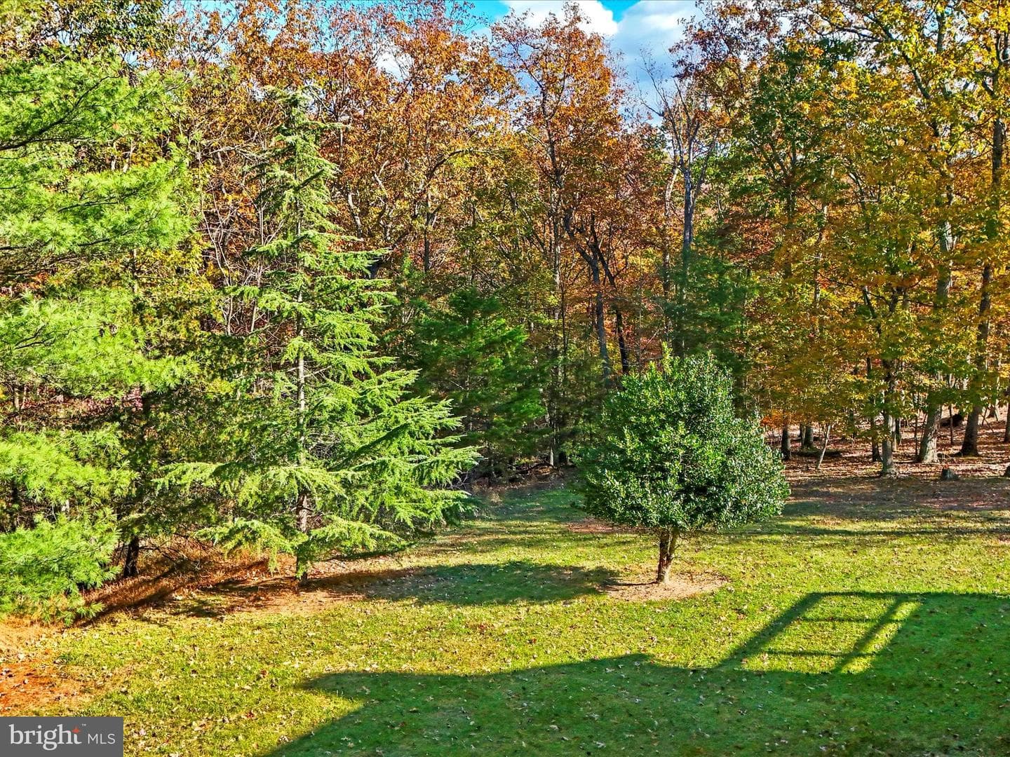 286 Colonial Drive photo 4