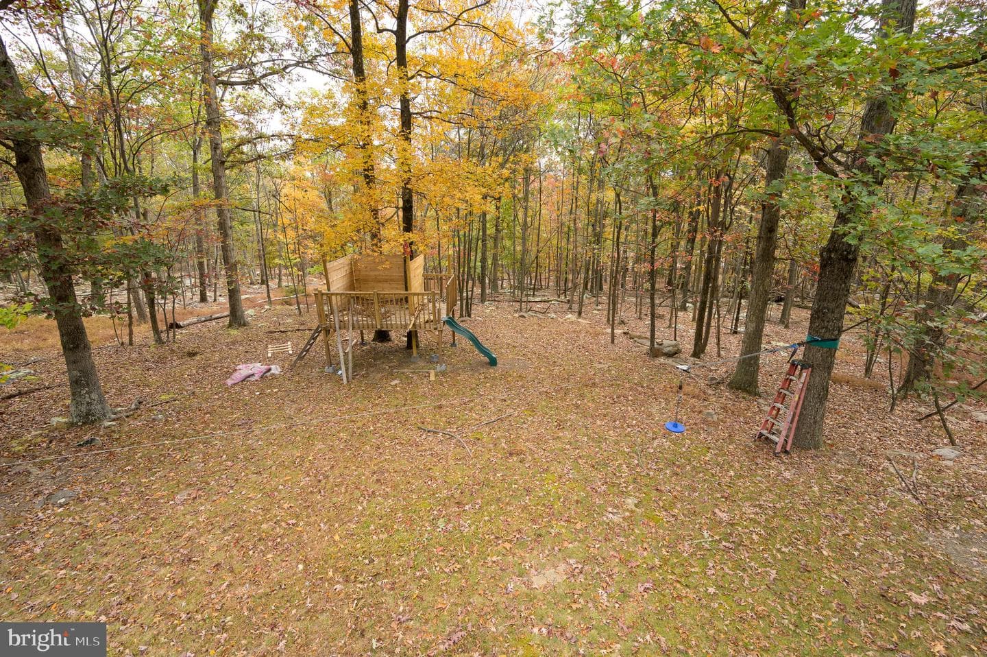 456 Parkside Terrace photo 14