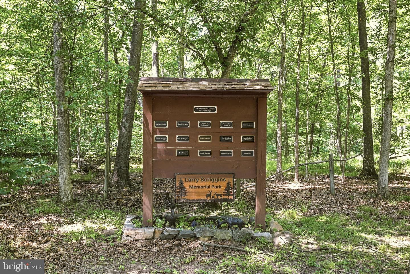382 Sundown Trail photo 59