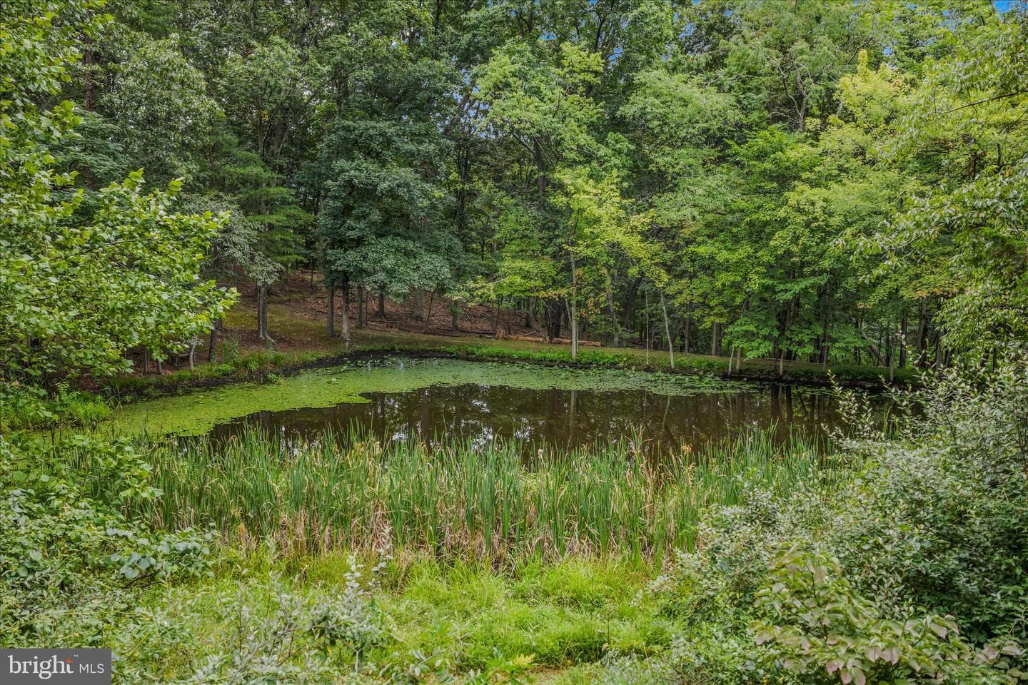 35 Sleepyview Lane photo 50
