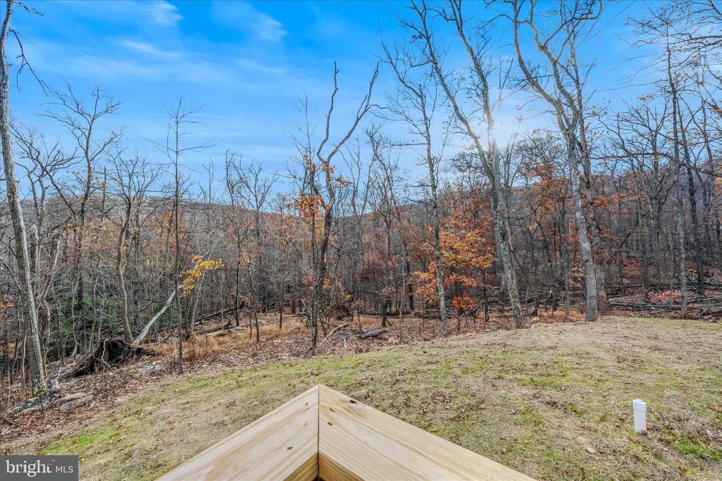 219 Maverick Trail photo 12