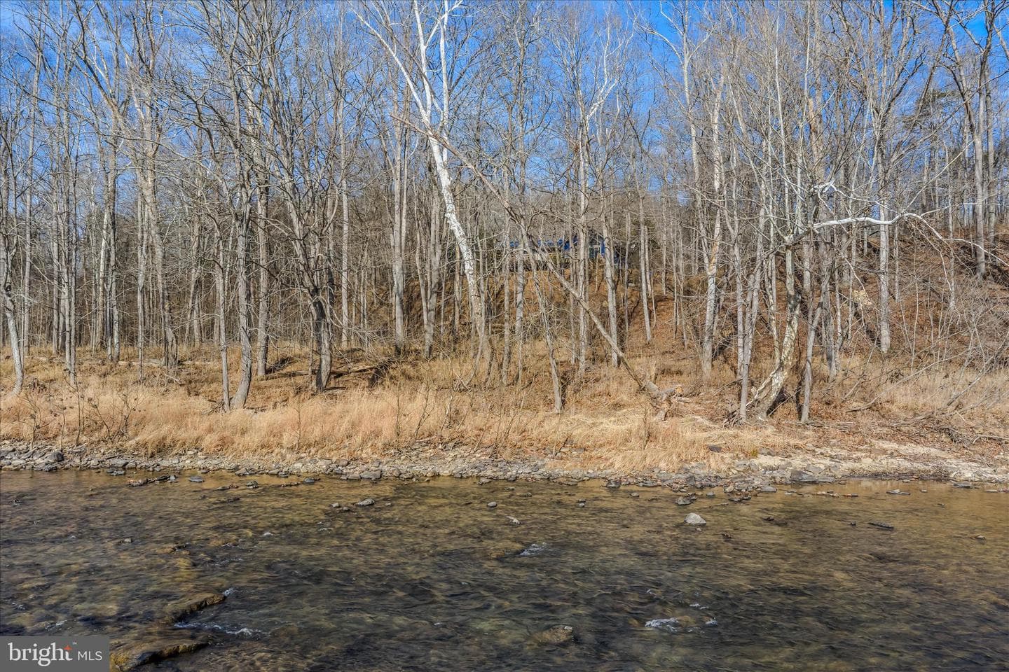 272 Tonoloway Point Circle photo 3
