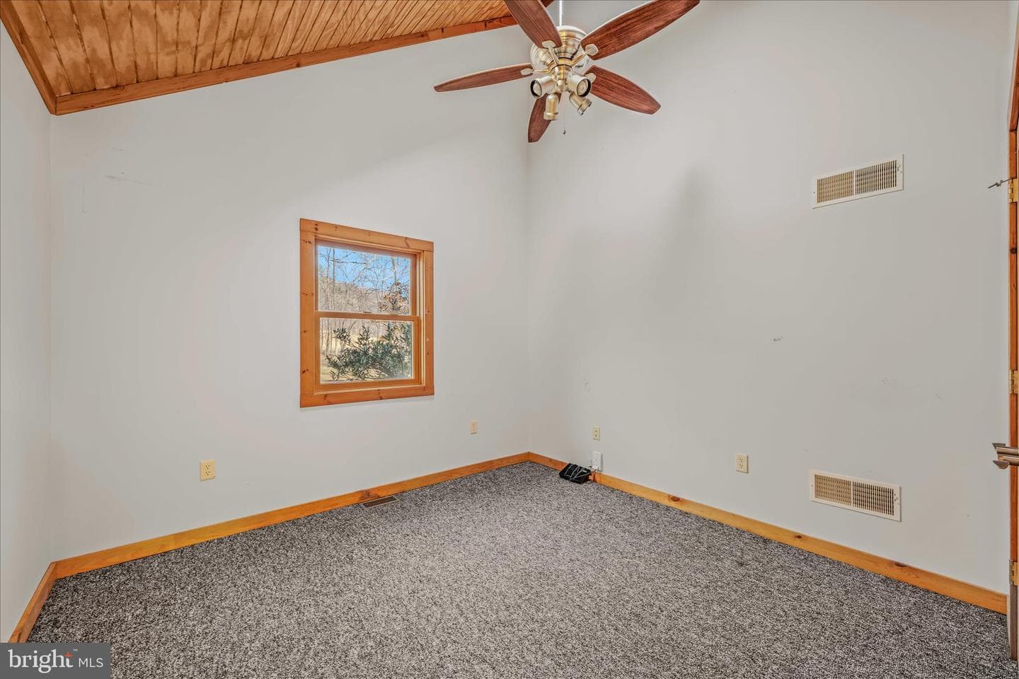 272 Tonoloway Point Circle photo 35