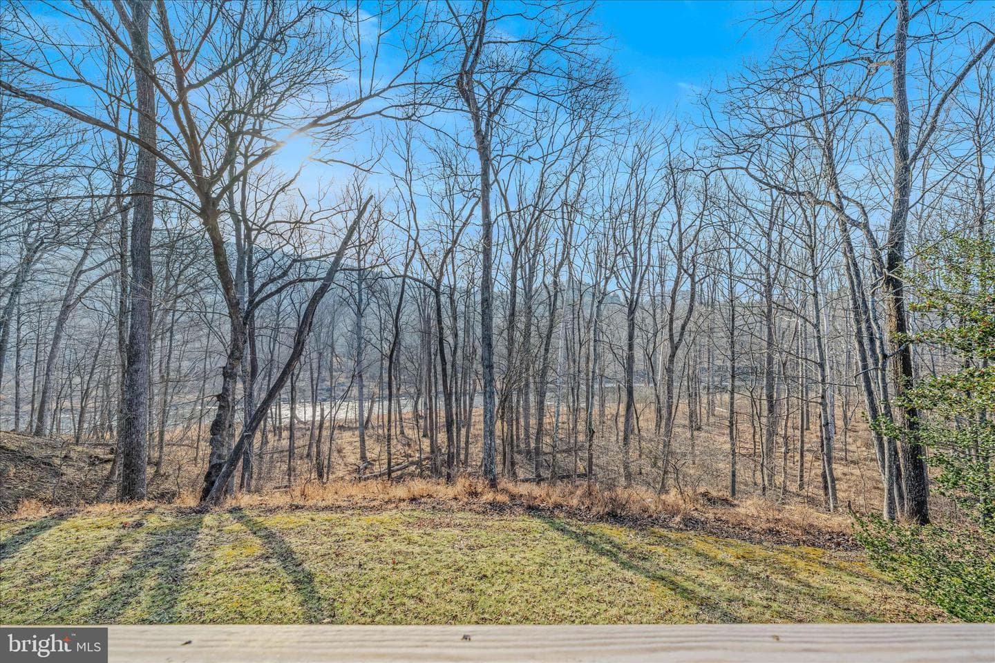 272 Tonoloway Point Circle photo 40