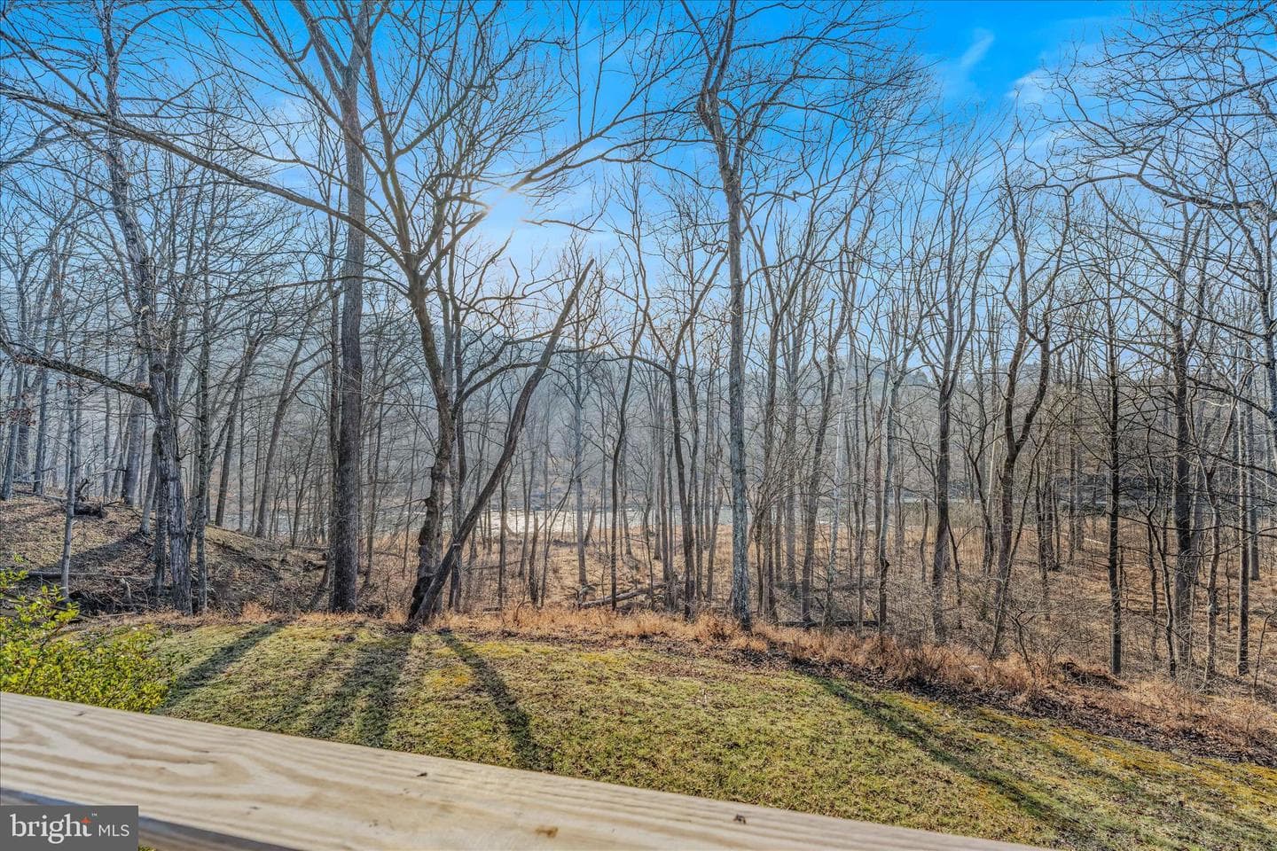 272 Tonoloway Point Circle photo 41