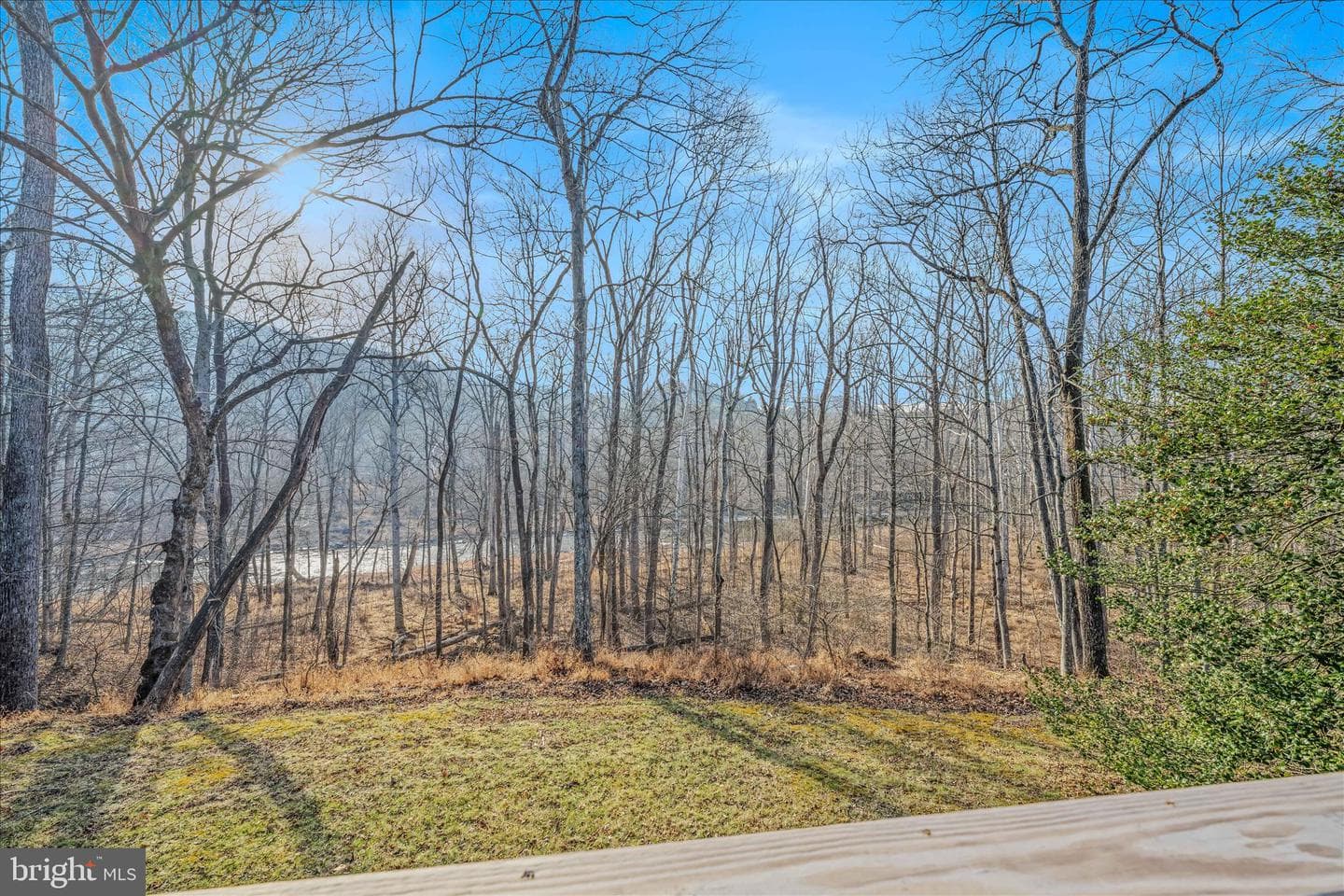 272 Tonoloway Point Circle photo 42