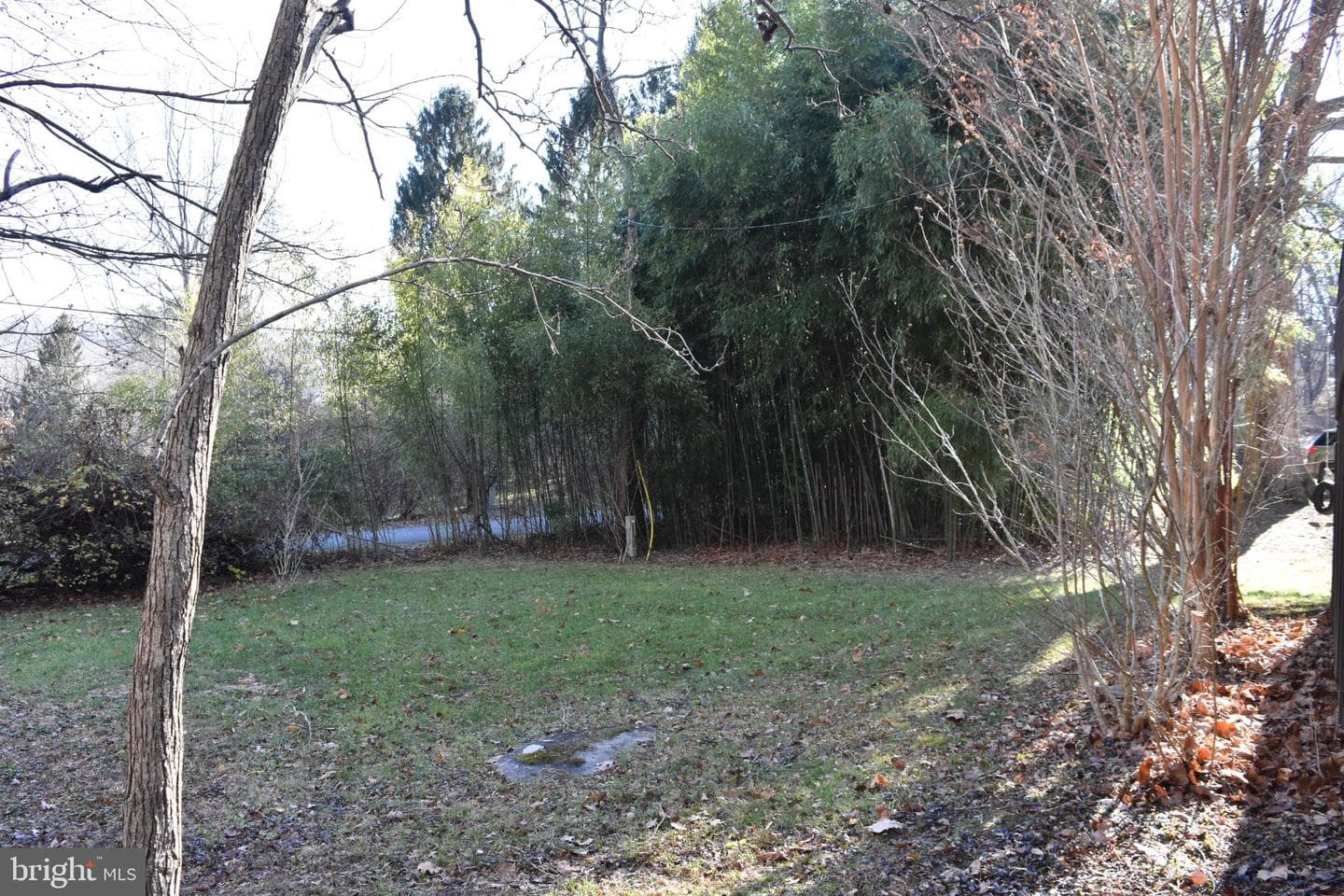 1417 Mountainside photo 66