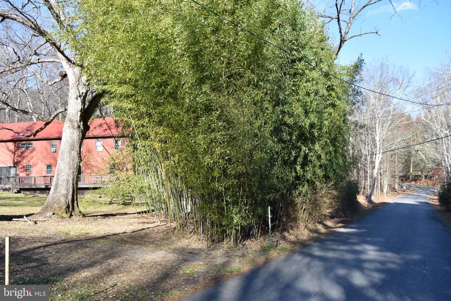 1417 Mountainside photo 74