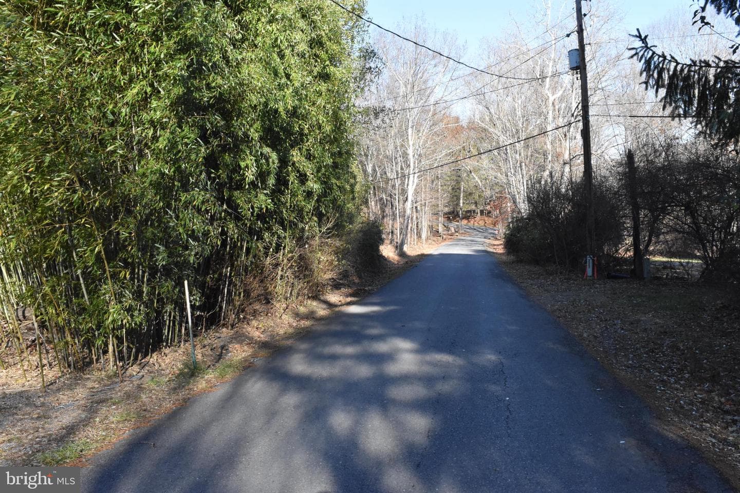 1417 Mountainside photo 75