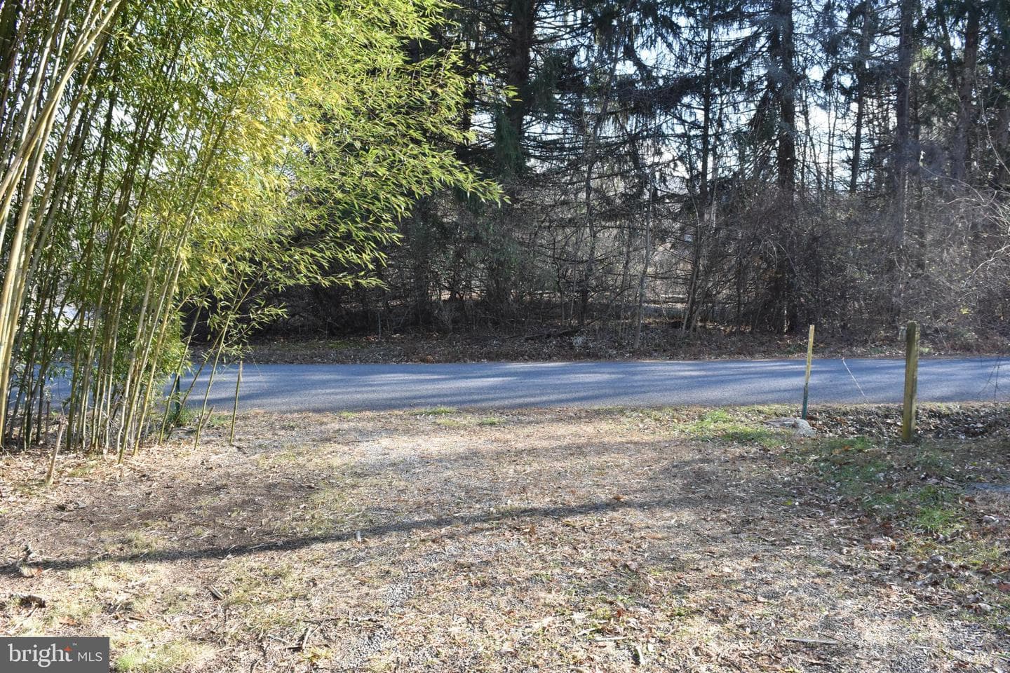 1417 Mountainside photo 76