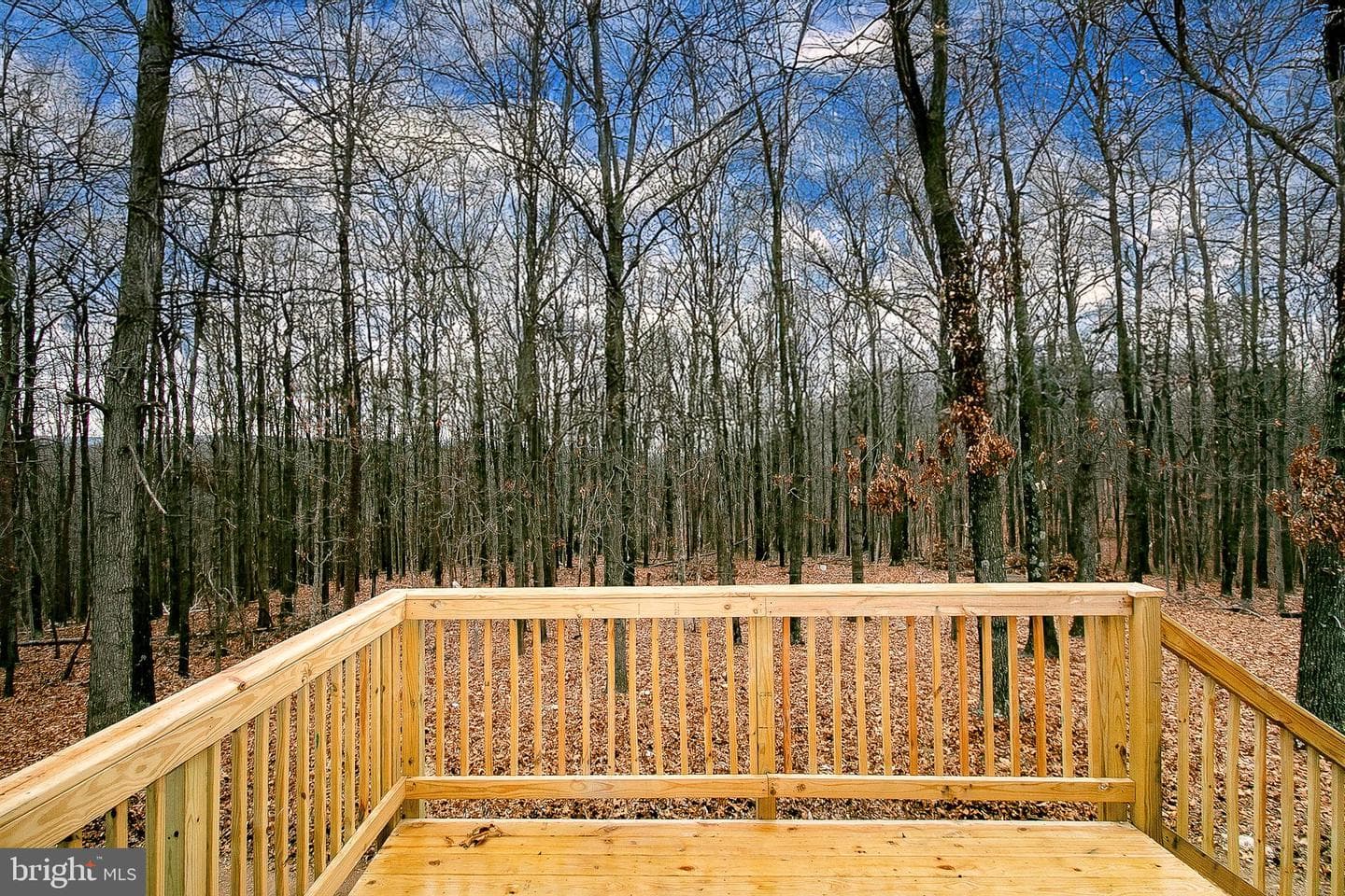 308 Greenwoods Drive photo 31