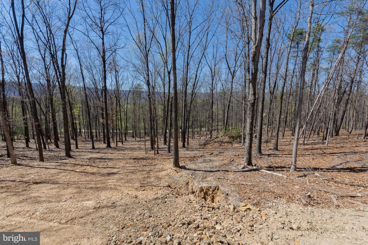 4352 Timber Ridge Road photo 19