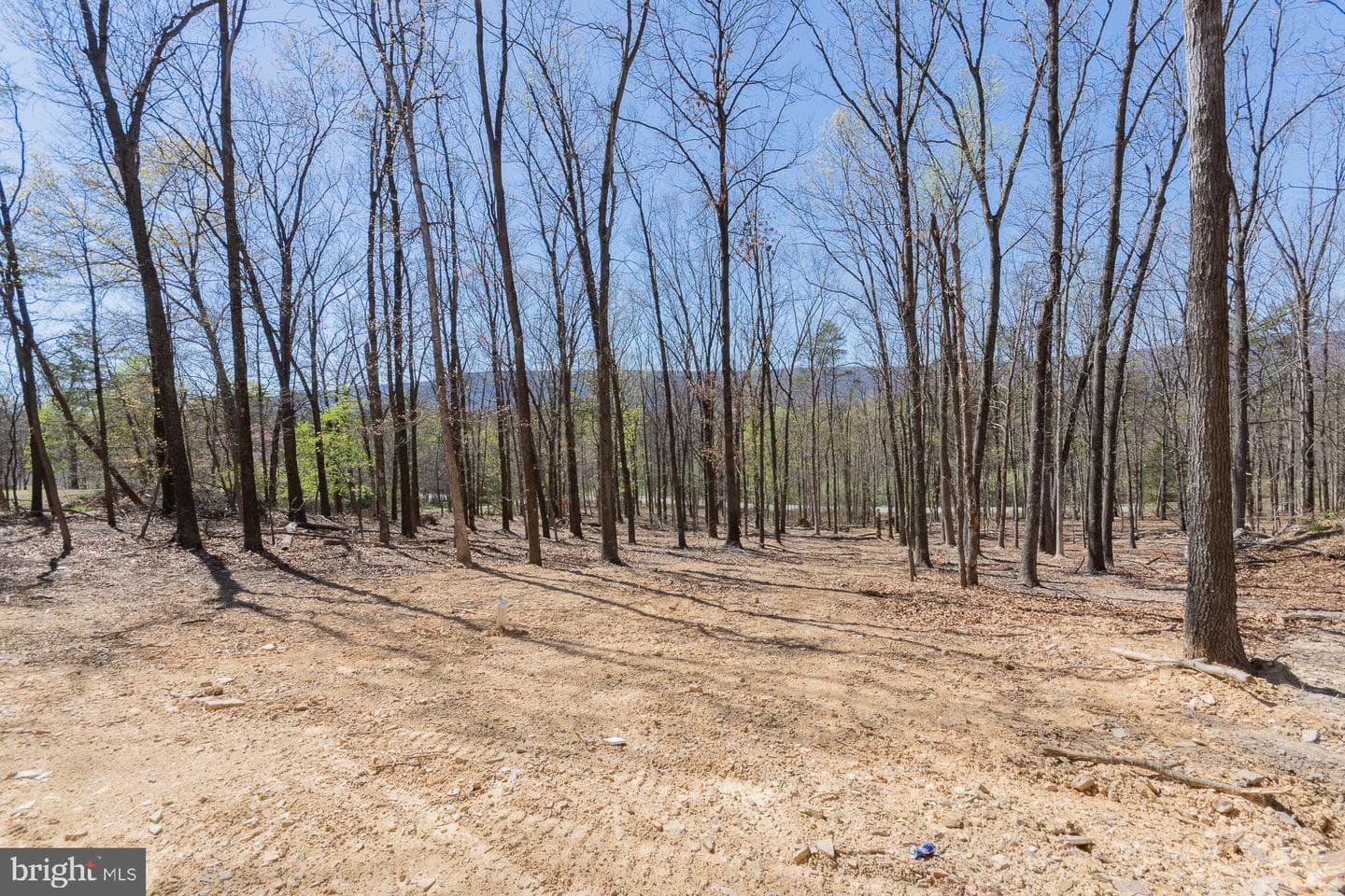 4352 Timber Ridge Road photo 25