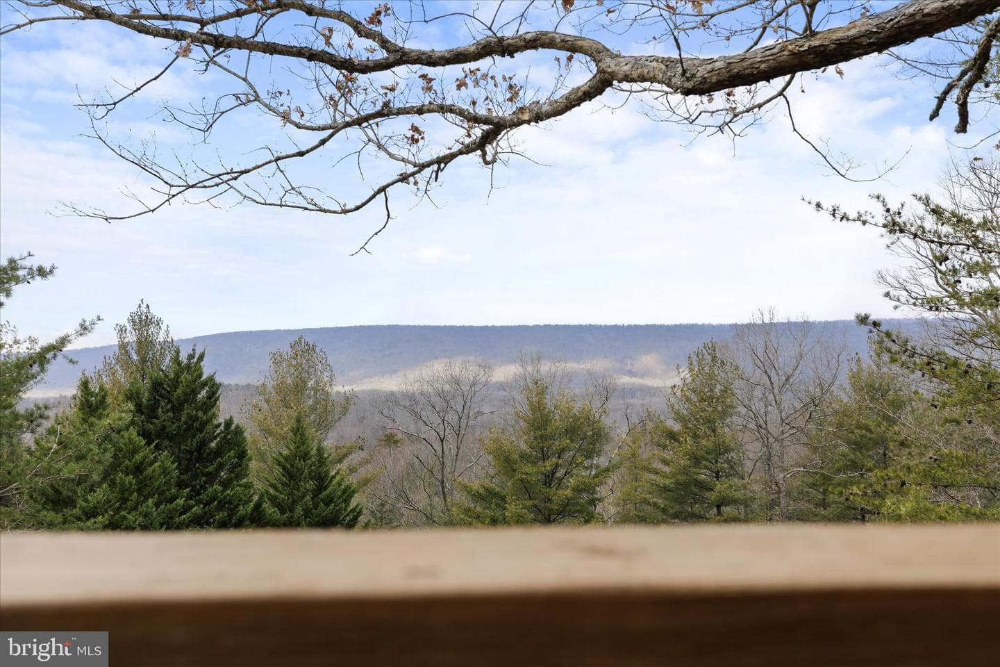 80 Purple Finch Lane photo 3