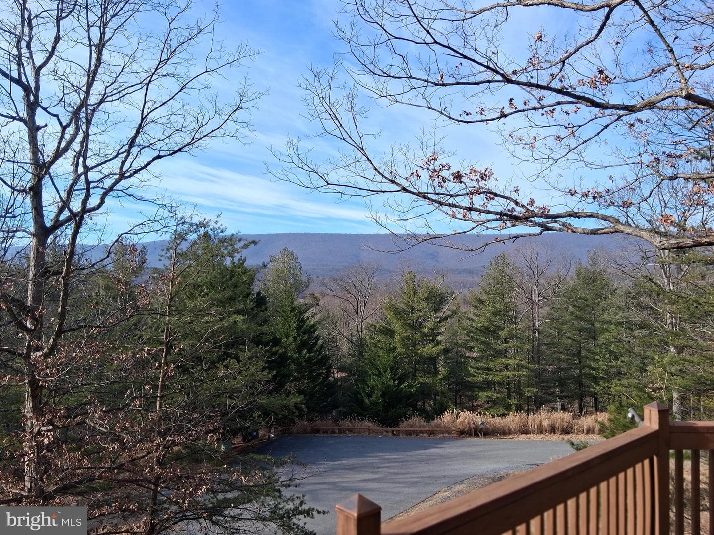 80 Purple Finch Lane photo 37