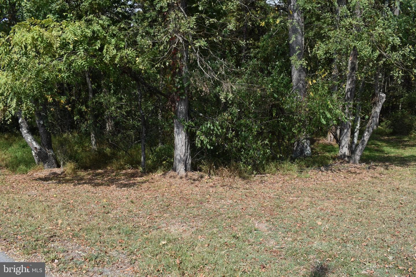 19 Mountain Laurel Drive photo 30