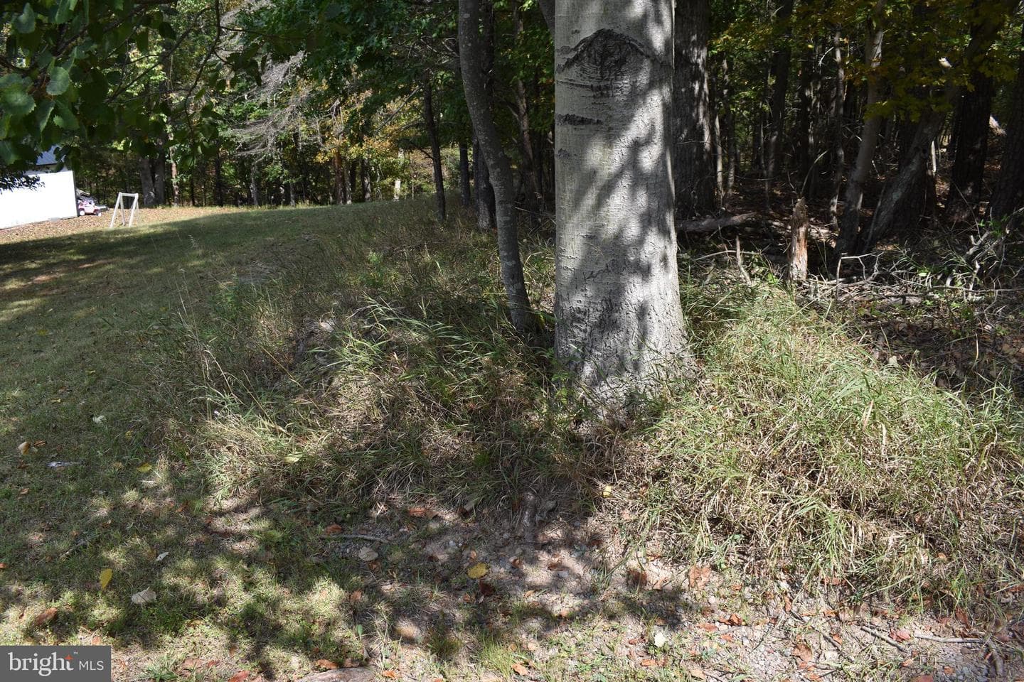 19 Mountain Laurel Drive photo 31
