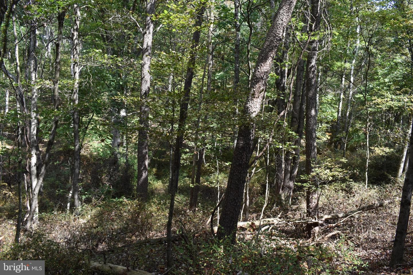 19 Mountain Laurel Drive photo 36