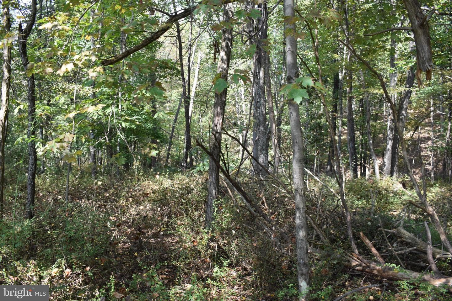 19 Mountain Laurel Drive photo 40