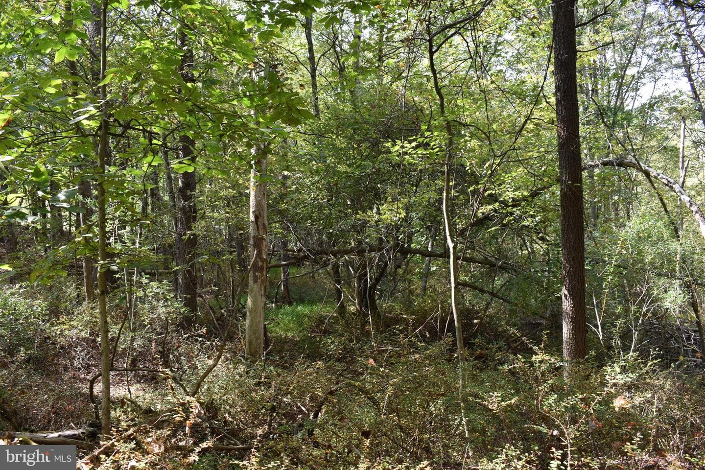 19 Mountain Laurel Drive photo 46
