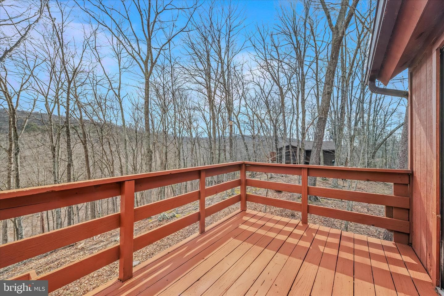 139 Cardinal Lane photo 41