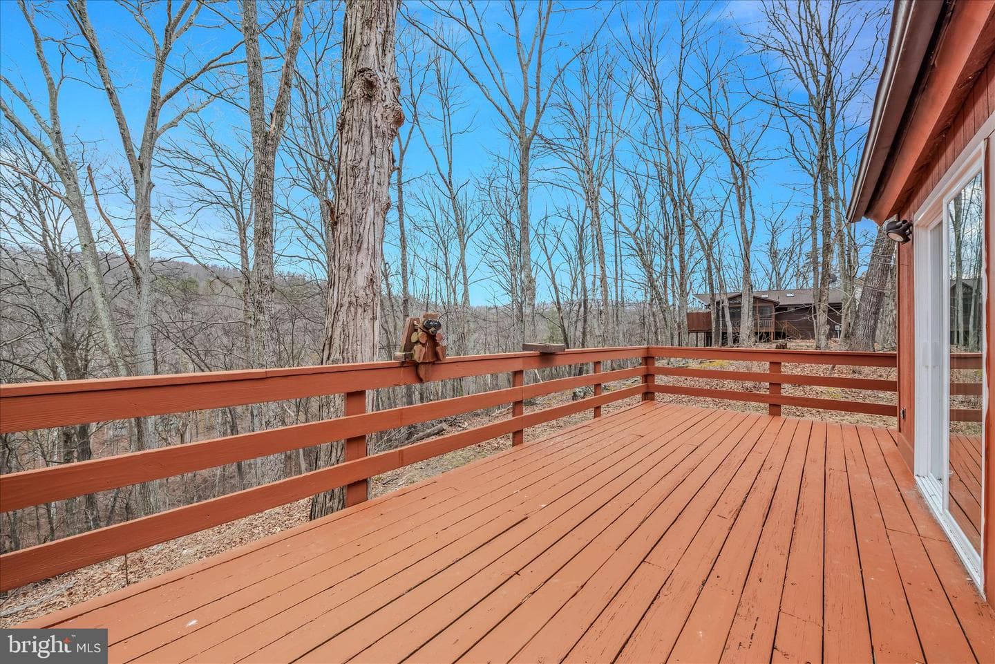 139 Cardinal Lane photo 43