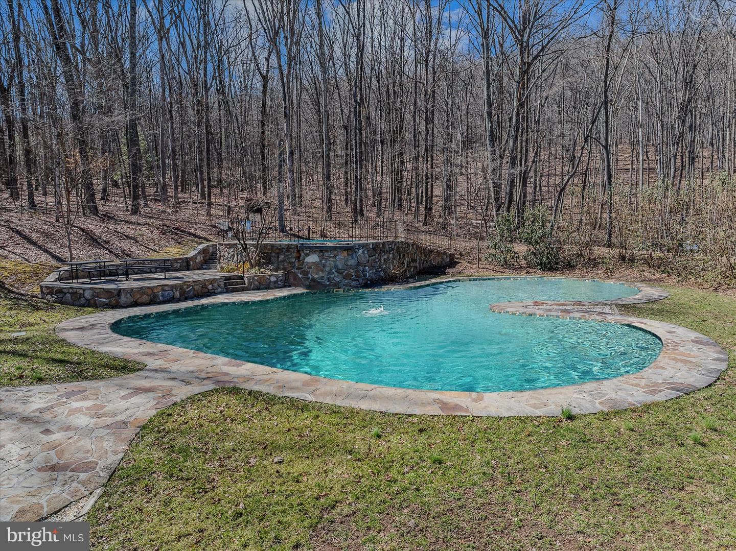139 Cardinal Lane photo 57