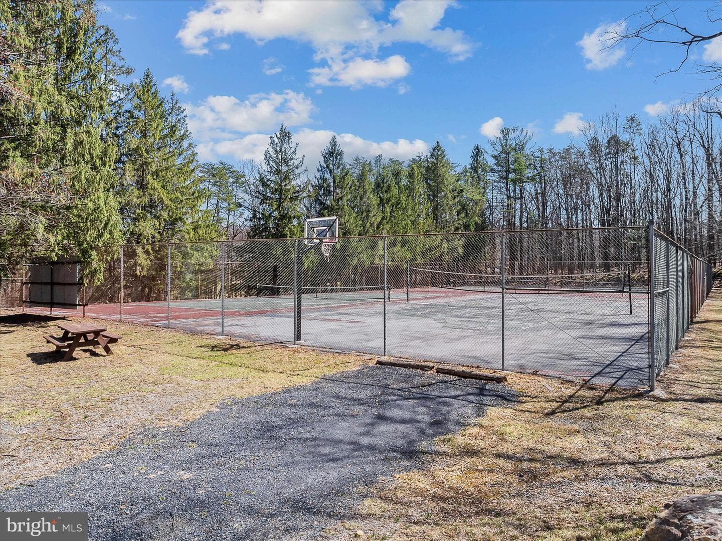 139 Cardinal Lane photo 58