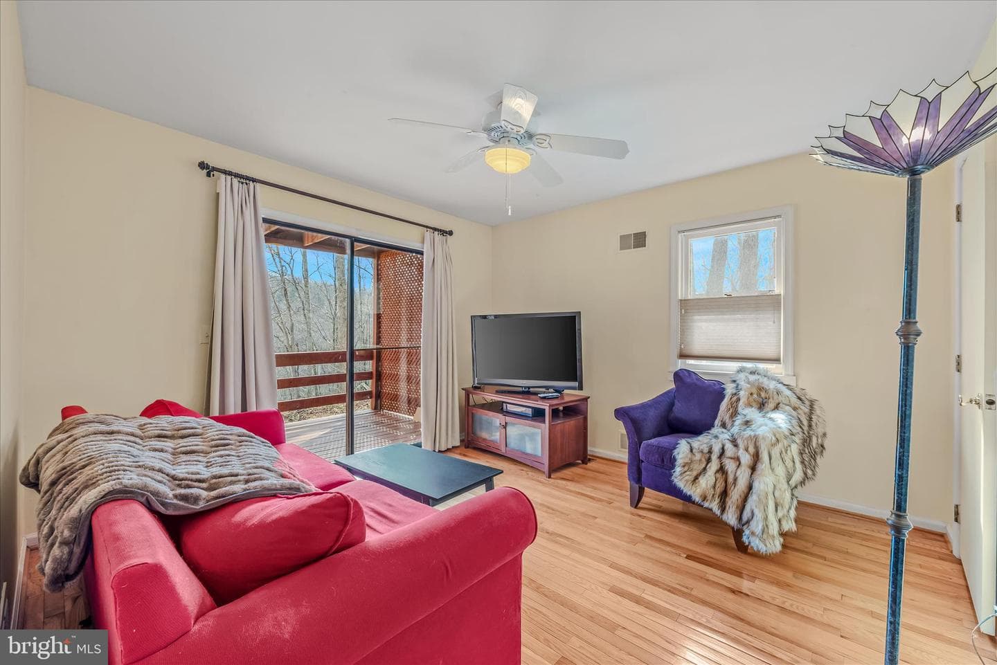 139 Cardinal Lane photo 9