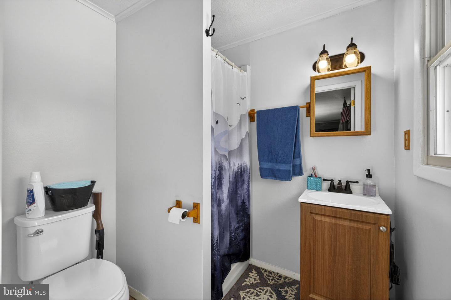 66 Fern Place Lane photo 32