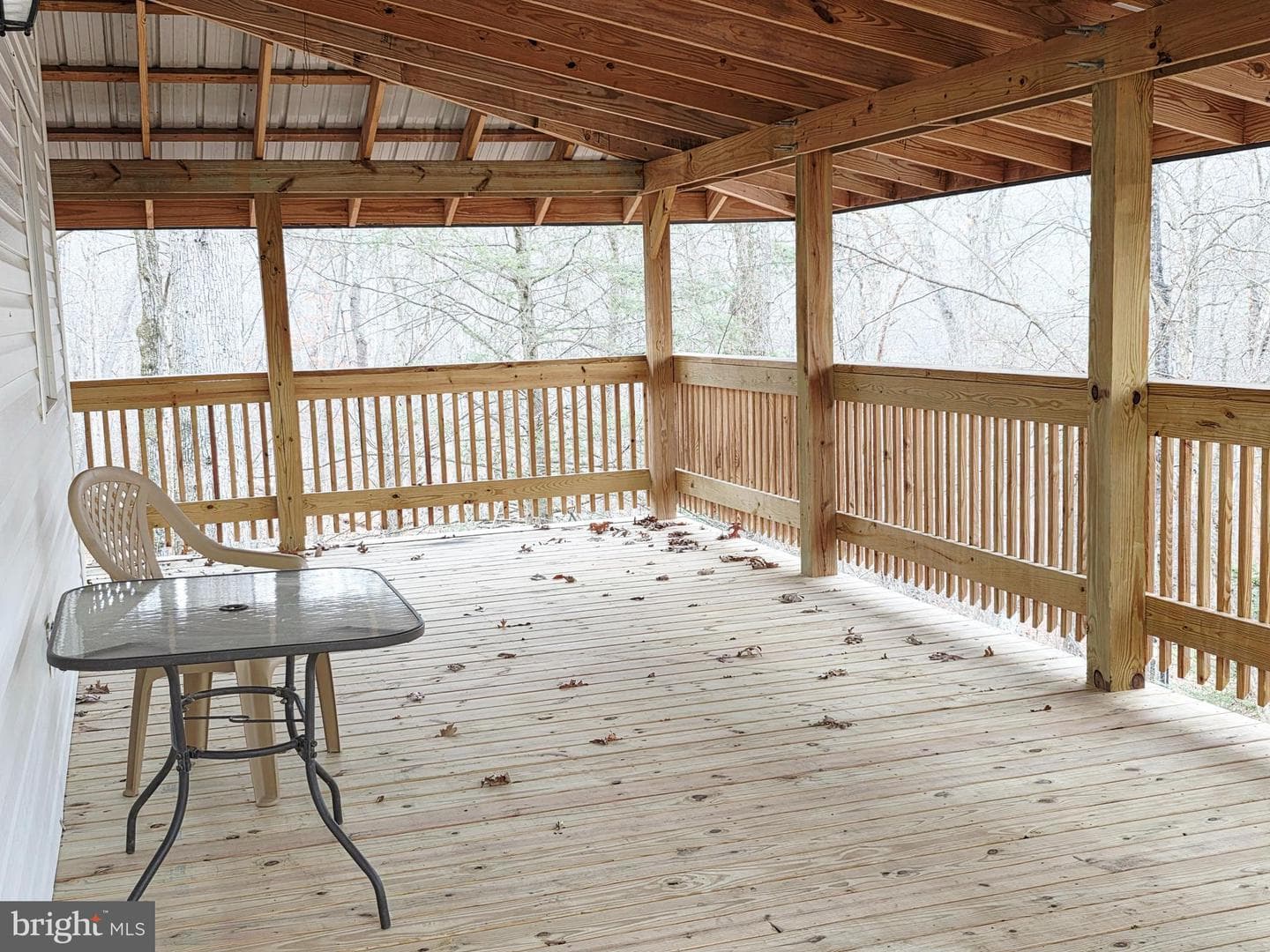 300 Wispy Branch Lane photo 14