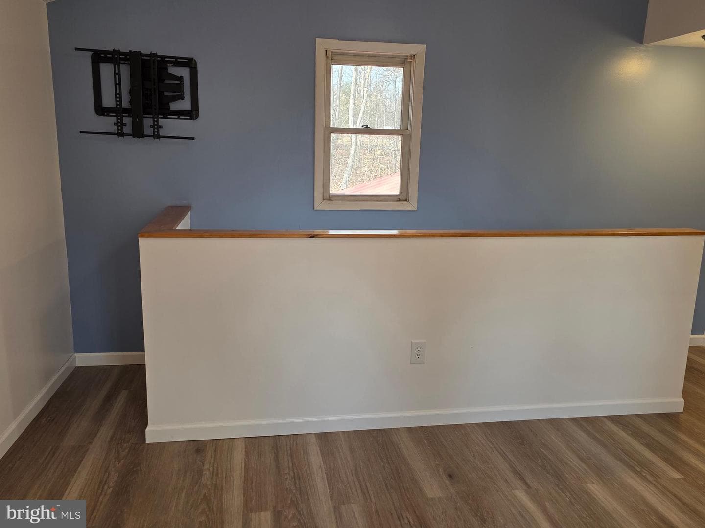 300 Wispy Branch Lane photo 39