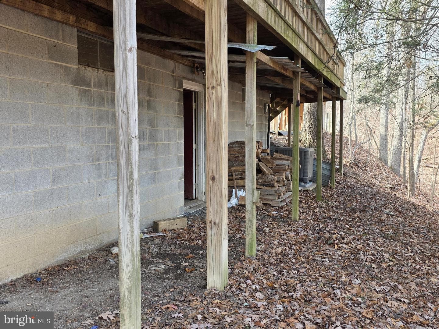 300 Wispy Branch Lane photo 64