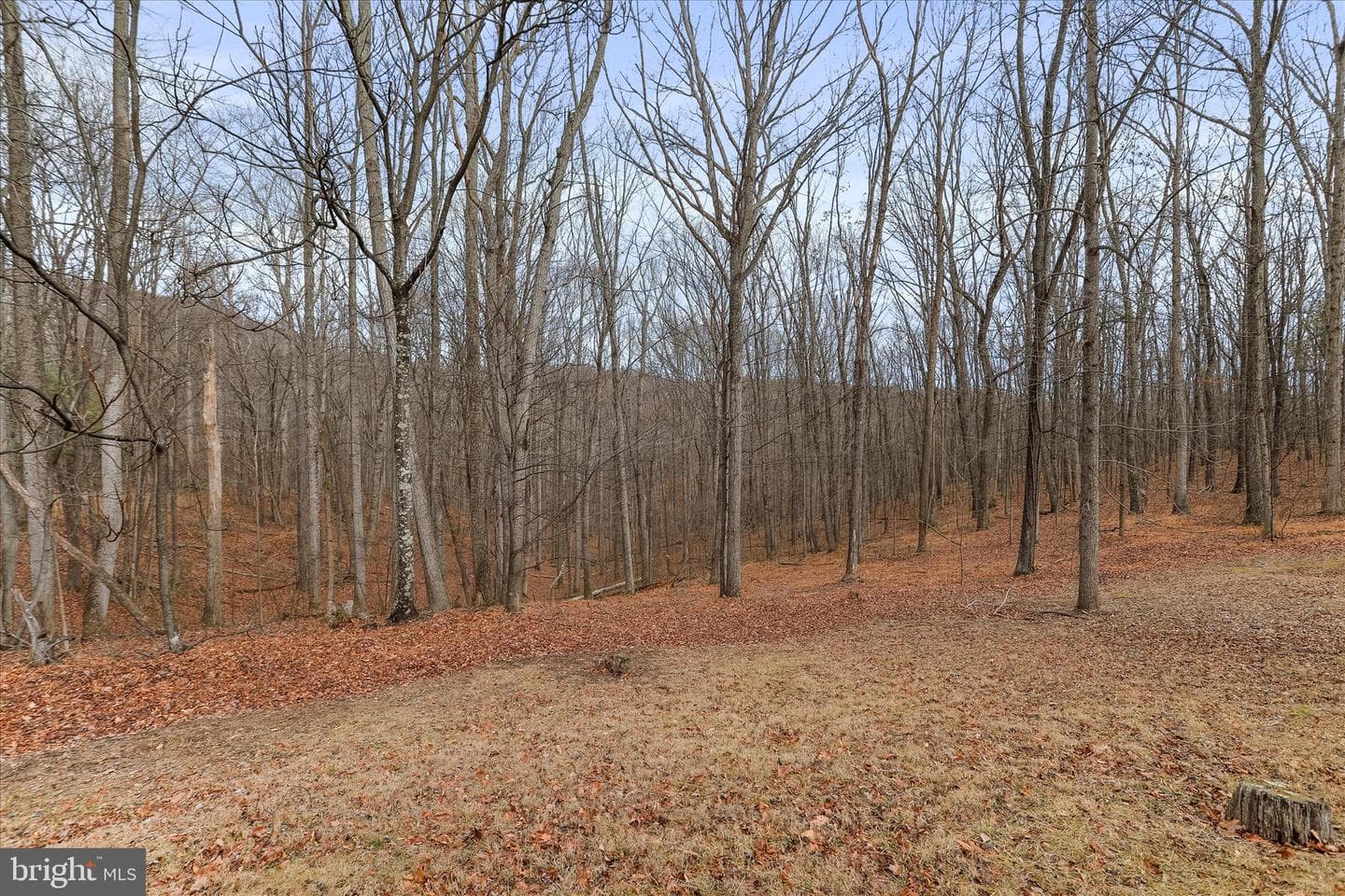 515 Gloyd Lane photo 5