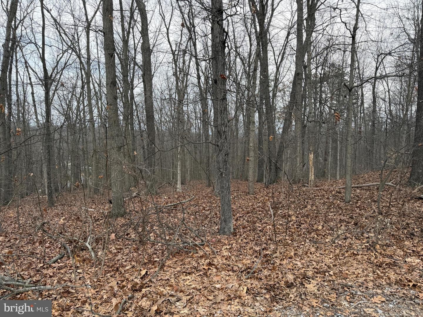 420 Coon Hollow Trail photo 29