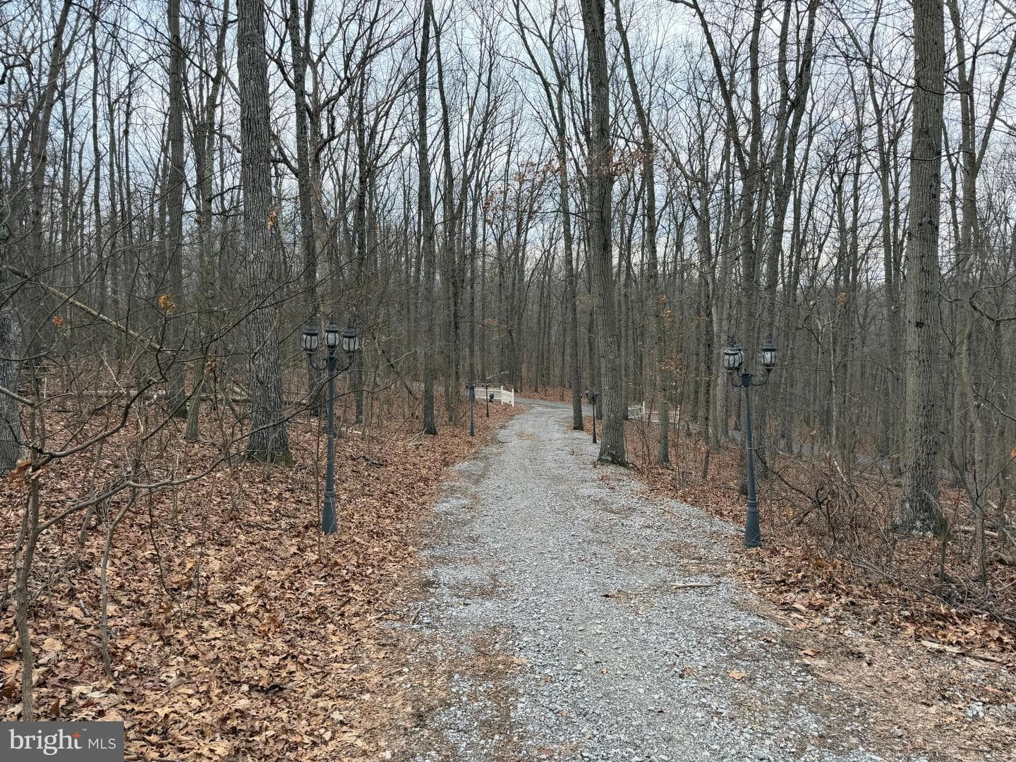 420 Coon Hollow Trail photo 30