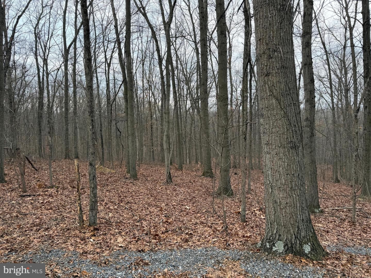 420 Coon Hollow Trail photo 31