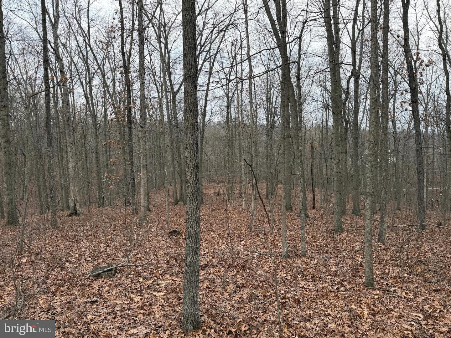 420 Coon Hollow Trail photo 32