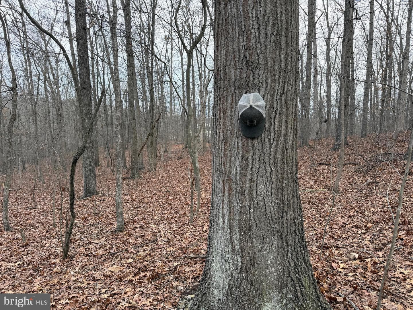 420 Coon Hollow Trail photo 33