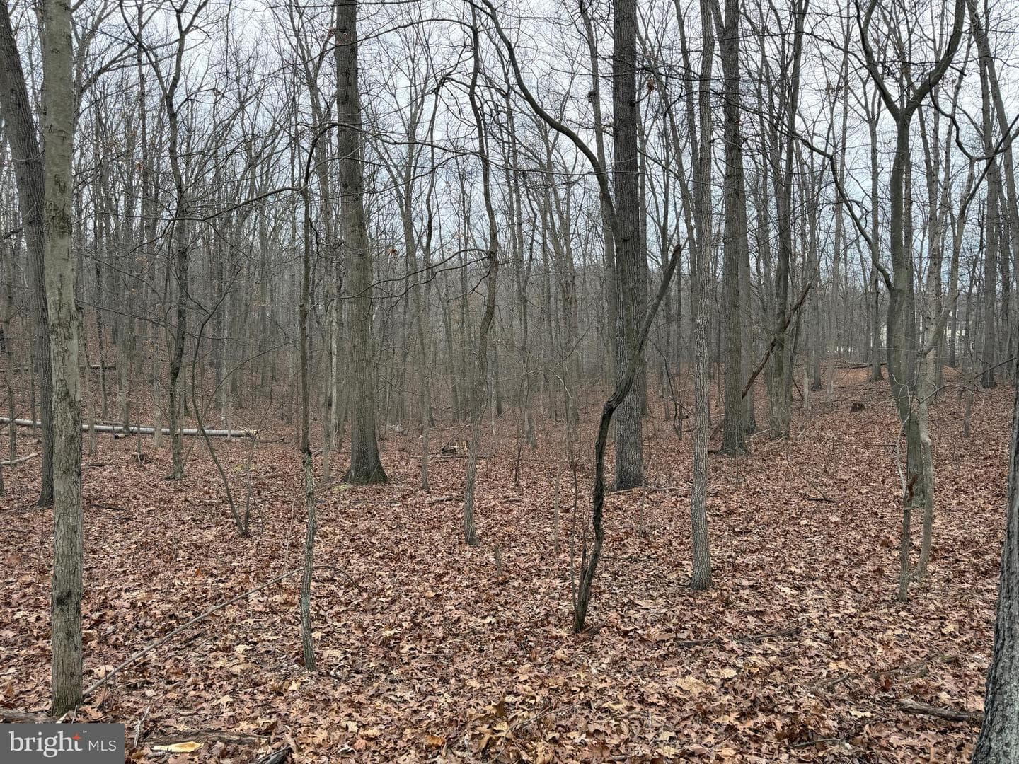 420 Coon Hollow Trail photo 34