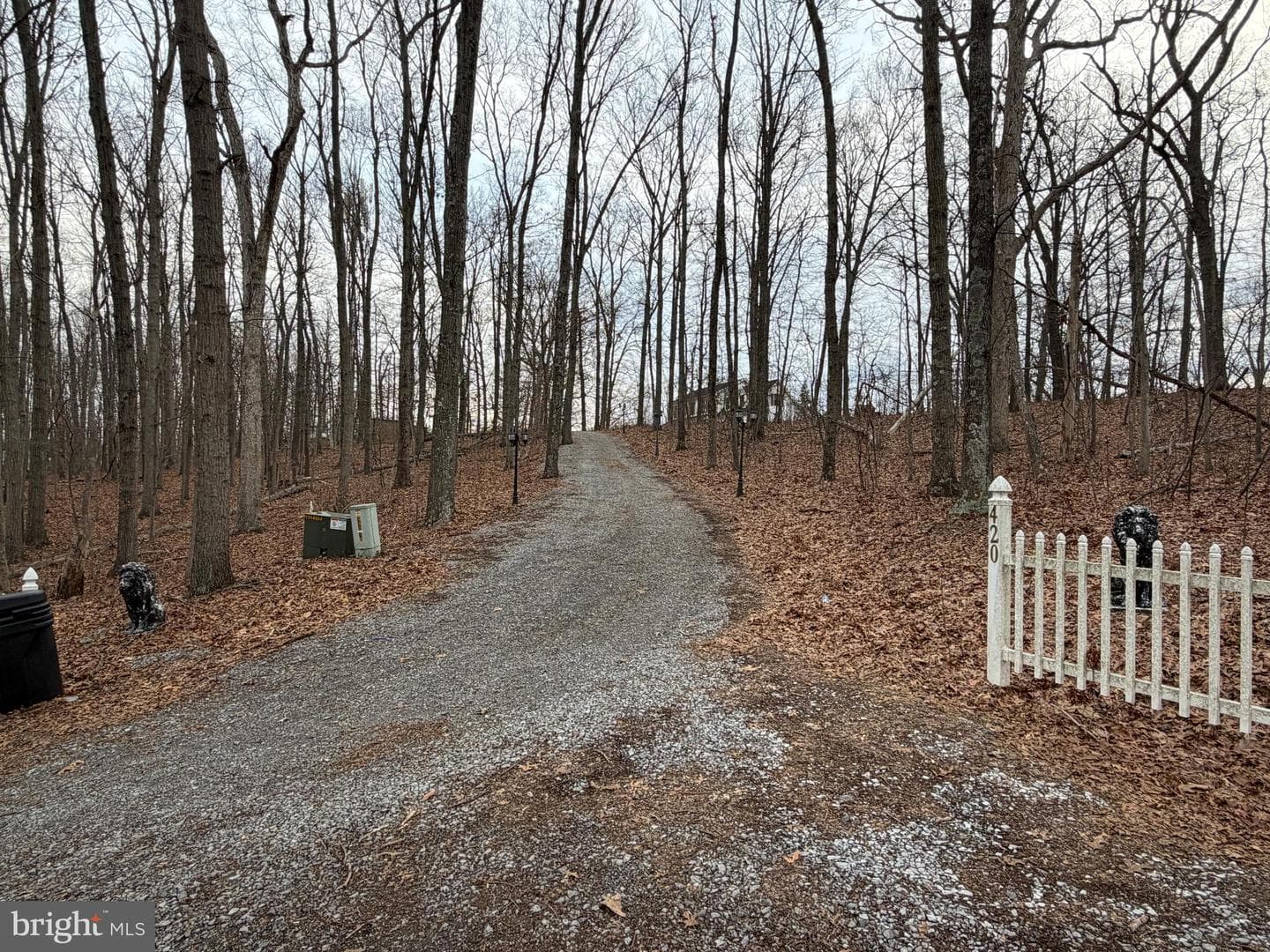 420 Coon Hollow Trail photo 35