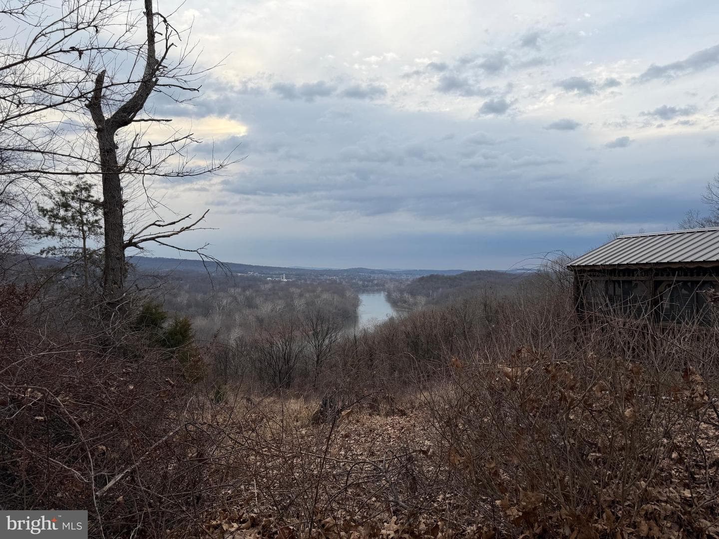 420 Coon Hollow Trail photo 5