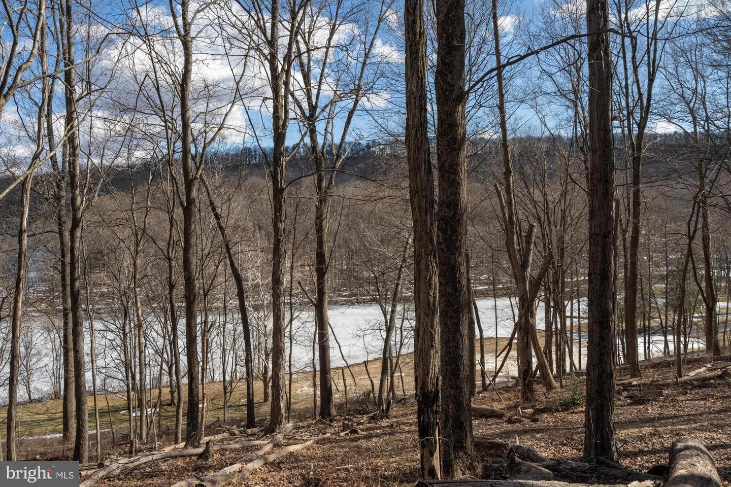 85 Bluebird Lane photo 38