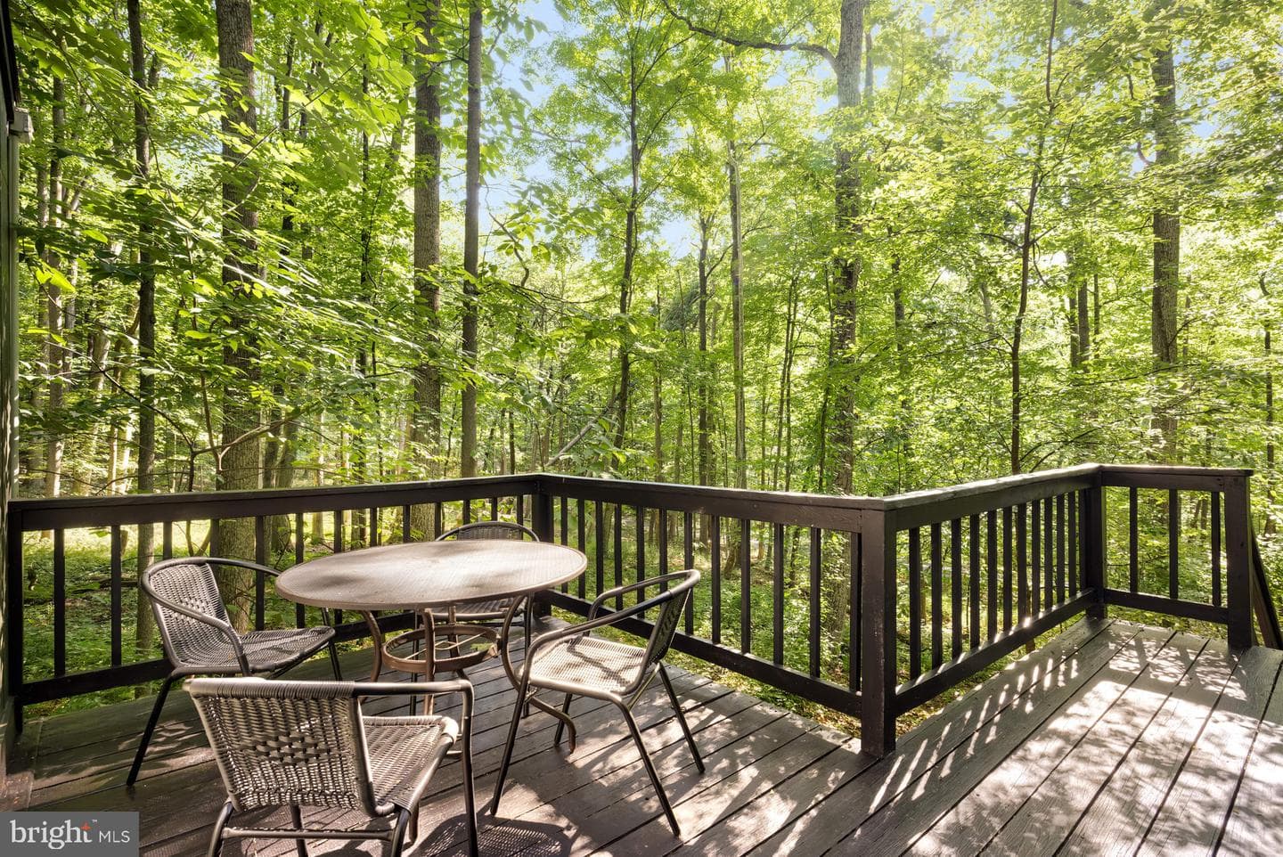 18 Bobcat Court photo 25